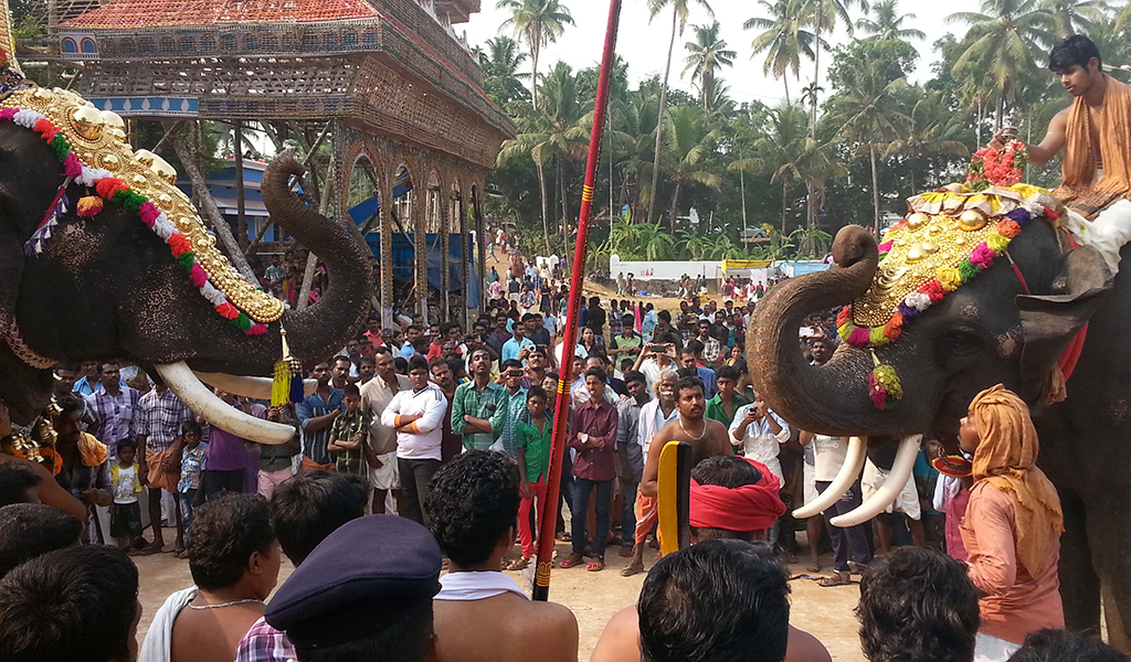 Sasthav at Arattupuzha Pooram 2015