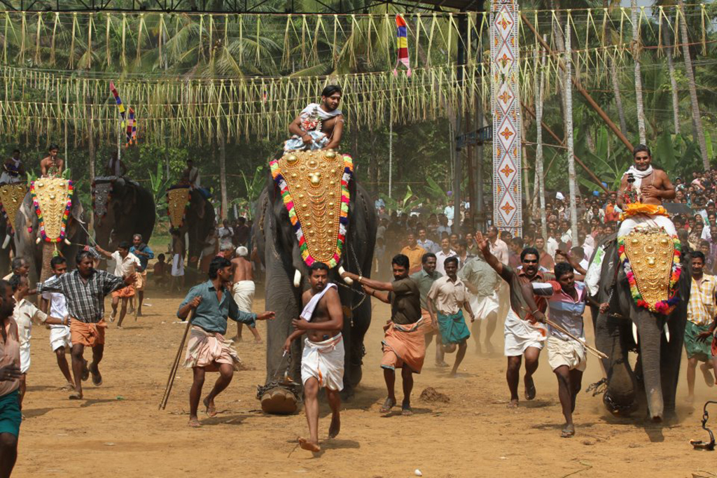 Sasthav at Pidikyaparambu 2015