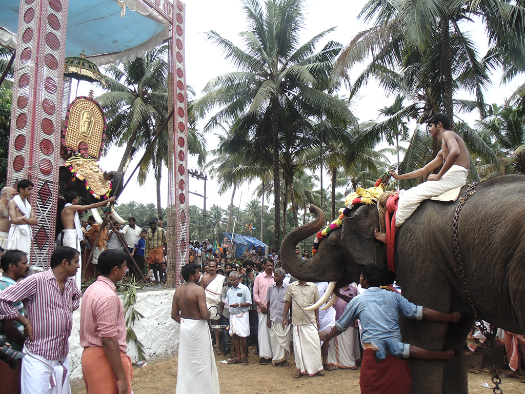 Sasthav at Pidikyaparambu 2015