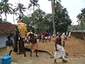 Punartham Vilakku 2015